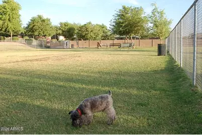2535 S Wattlewood --, Mesa, AZ 85209 - Photo 32