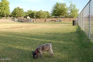 2535 S Wattlewood, Mesa, AZ 85209 - Photo 32