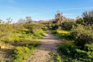 2425 W Bronco Butte Trl, Phoenix, AZ 85085 - Photo 22