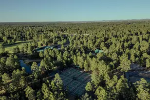 4051 W Falling Leaf Rd, Show Low, AZ 85901 - Photo 72