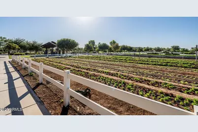 4553 S Raster --, Mesa, AZ 85212 - Photo 56