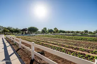 4553 South Raster, Mesa, AZ 85212 - Photo 56