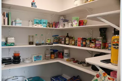 223 E Saddle Way, San Tan Valley, AZ 85143 - Photo 10