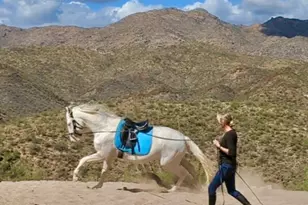 35190 S April Dr, Black Canyon City, AZ 85324 - Photo 42