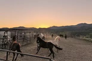 35190 S April Dr, Black Canyon City, AZ 85324 - Photo 46