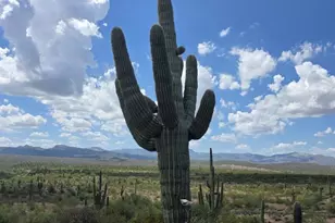 6368 N Az Highway 288, Globe, AZ 85501 - Photo 26