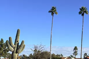 11135 E Elmhurst Dr E, Sun Lakes, AZ 85248 - Photo 16