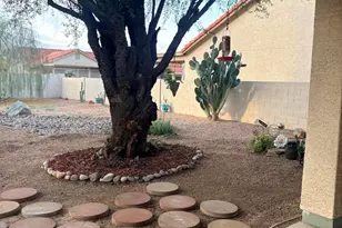 11135 E Elmhurst Dr E, Sun Lakes, AZ 85248 - Photo 12