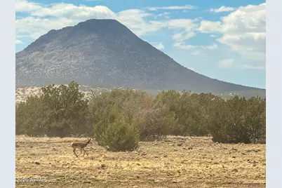0 W Mile High Rd. Lot C 10 Acres -- #84, Ash Fork, AZ 86320 - Photo 2