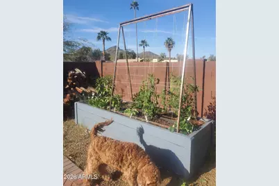 2941 E Nisbet Court, Phoenix, AZ 85032 - Photo 50