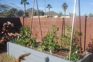 2941 E Nisbet Ct, Phoenix, AZ 85032 - Photo 50