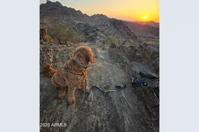 2941 E Nisbet Court, Phoenix, AZ 85032 - Photo 46