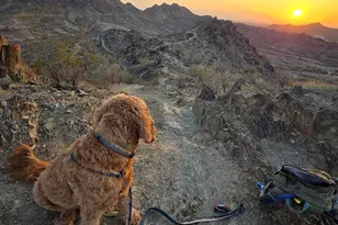 2941 E Nisbet Ct, Phoenix, AZ 85032 - Photo 46