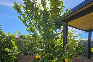 17269 W Corrine Dr, Surprise, AZ 85388 - Photo 24