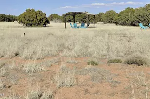 12 County Rd N8543 --, Concho, AZ 85924 - Photo 64