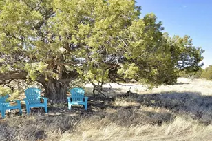 12 County Rd N8543 --, Concho, AZ 85924 - Photo 70