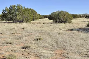 12 County Rd N8543 --, Concho, AZ 85924 - Photo 72