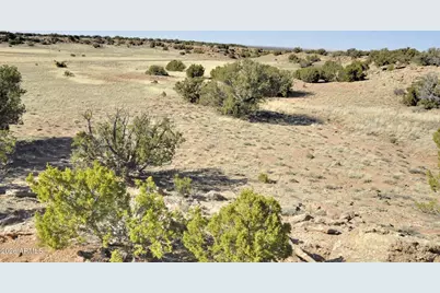 12 County Rd N8543 --, Concho, AZ 85924 - Photo 58