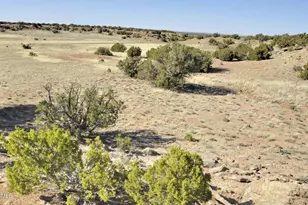 12 County Rd N8543 --, Concho, AZ 85924 - Photo 58