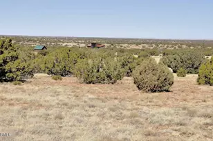 12 County Rd N8543 --, Concho, AZ 85924 - Photo 84