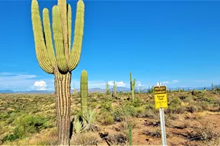 35636 N 142nd Pl, Scottsdale, AZ 85262 - Photo 104
