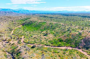 35636 N 142nd Pl, Scottsdale, AZ 85262 - Photo 92