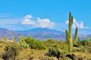 35636 N 142nd Pl, Scottsdale, AZ 85262 - Photo 100