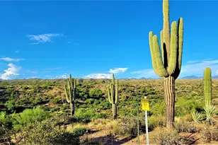 35636 N 142nd Pl, Scottsdale, AZ 85262 - Photo 102