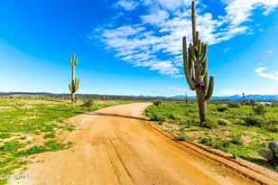 35636 N 142nd Pl, Scottsdale, AZ 85262 - Photo 94