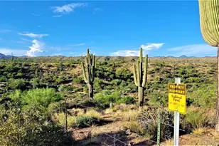 35636 N 142nd Pl, Scottsdale, AZ 85262 - Photo 16