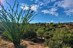 35636 N 142nd Pl, Scottsdale, AZ 85262 - Photo 96