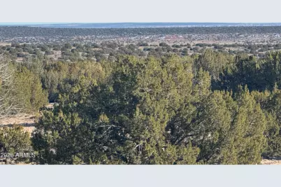 Lot 198 Red Sky Ranch -- #198, Saint Johns, AZ 85936 - Photo 10