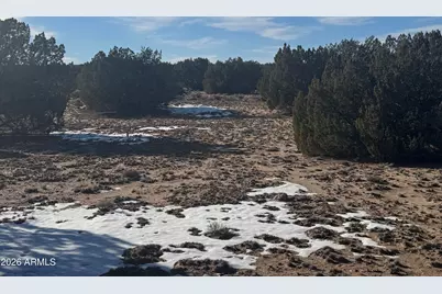 Lot 198 Red Sky Ranch -- #198, Saint Johns, AZ 85936 - Photo 14