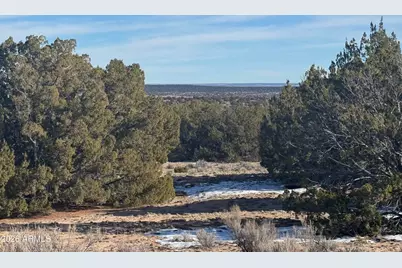 Lot 198 Red Sky Ranch -- #198, Saint Johns, AZ 85936 - Photo 8