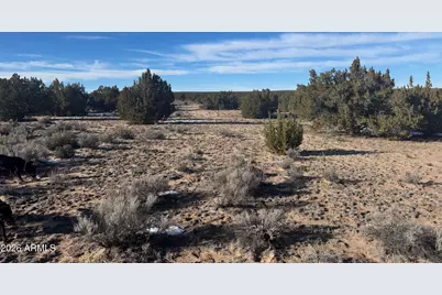 Lot 198 Red Sky Ranch -- #198, Saint Johns, AZ 85936 - Photo 4