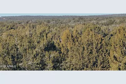 Lot 198 Red Sky Ranch -- #198, Saint Johns, AZ 85936 - Photo 16