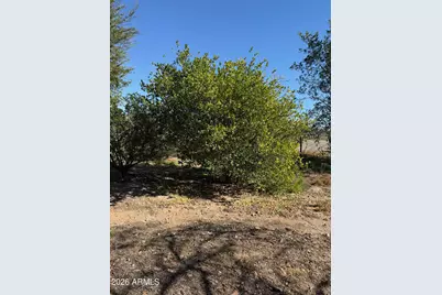 31637 N 169th Avenue, Surprise, AZ 85387 - Photo 50