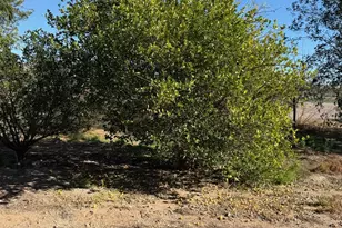 31637 N 169th Ave, Surprise, AZ 85387 - Photo 50