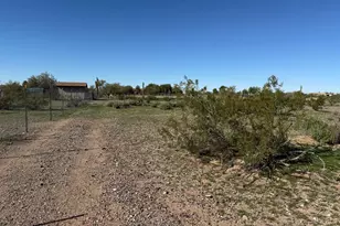 31637 N 169th Ave, Surprise, AZ 85387 - Photo 60