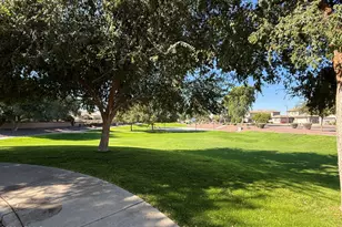 15208 W Redfield Rd, Surprise, AZ 85379 - Photo 46