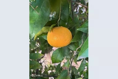 3770 E Iris Drive, Chandler, AZ 85286 - Photo 64