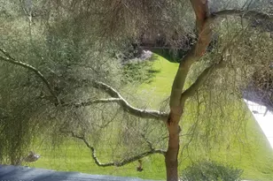 20801 N 90th Pl, Scottsdale, AZ 85255 - Photo 20