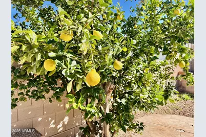 1701 E Yukon Drive, Phoenix, AZ 85024 - Photo 40