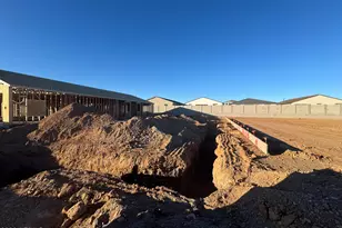 16212 W Red Bird Rd, Surprise, AZ 85387 - Photo 2