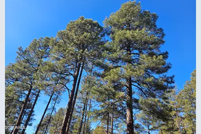 940 N 46th Drive, Show Low, AZ 85901 - Photo 32