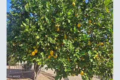 14122 W Horizon Drive, Sun City West, AZ 85375 - Photo 54