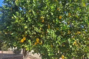 14122 W Horizon Dr, Sun City West, AZ 85375 - Photo 54