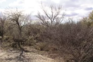 3236 N Cascabel Rd, Benson, AZ 85602 - Photo 44