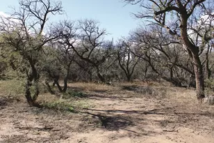 3236 N Cascabel Rd, Benson, AZ 85602 - Photo 56