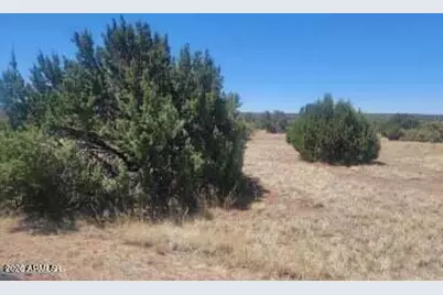 8435 Lake View Drive #84, Show Low, AZ 85901 - Photo 1